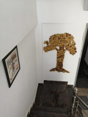 Aashiyana Home Stay, E-6, Arera Colony, Near RKMP Railway Station